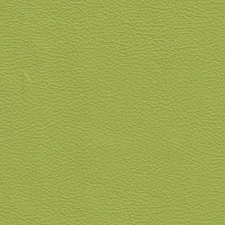 Le20 lime-sample
