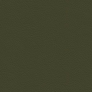 Le26 olive-sample