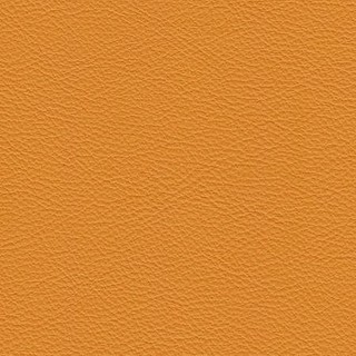 Le02 curcuma-sample