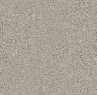 FUNGI   VAL_107-2522-sample