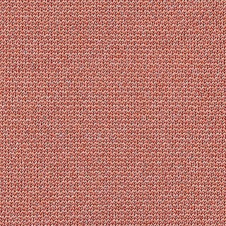 CORE 70405 coral-sample