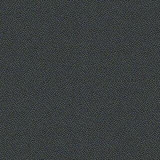 YP019-sample